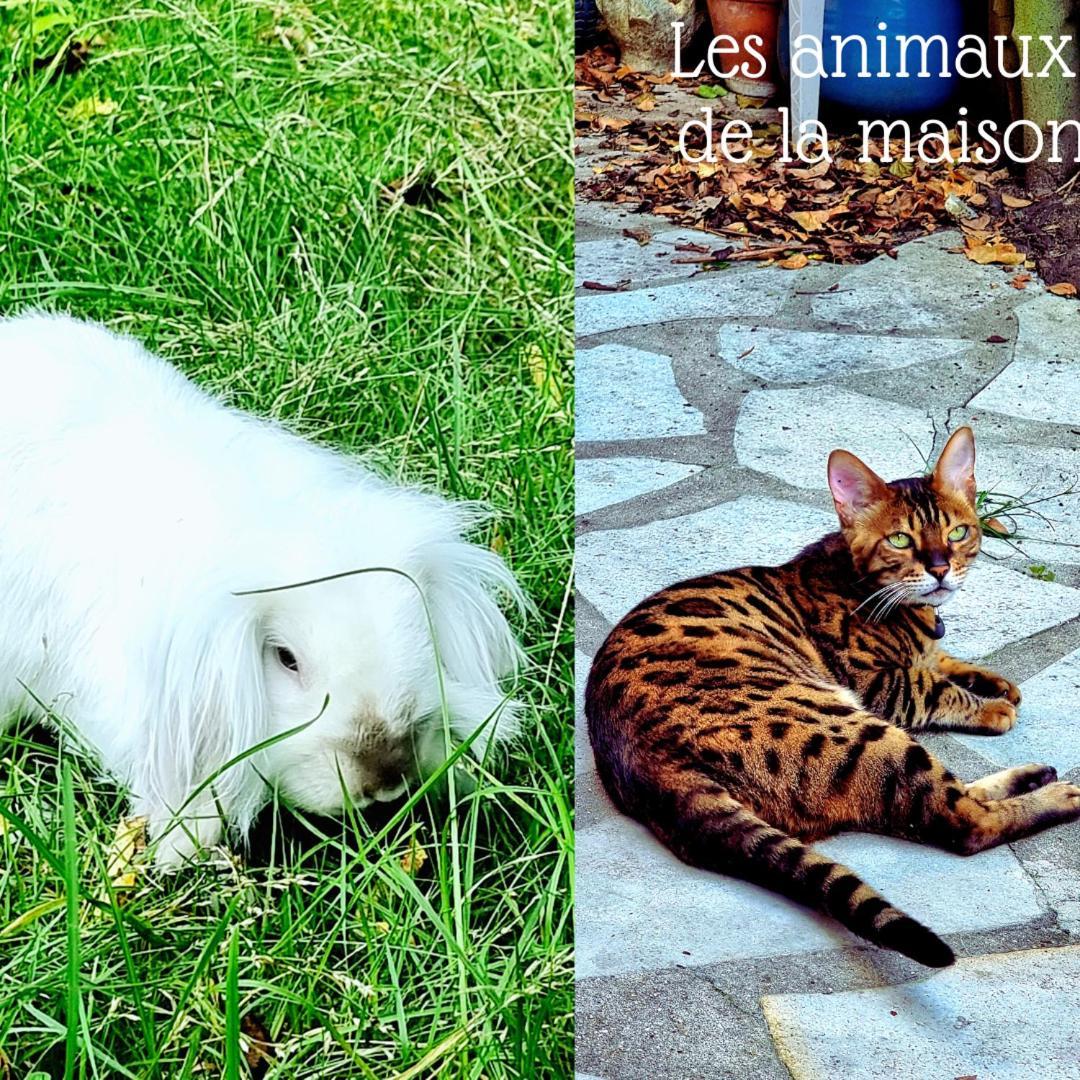 La Campagne A Paris Hotel Saint-Cloud Bagian luar foto